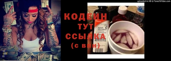 амф Дмитриев