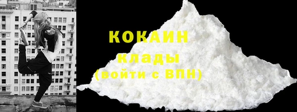 ГАЛЛЮЦИНОГЕННЫЕ ГРИБЫ Арсеньев