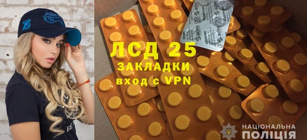 ГАЛЛЮЦИНОГЕННЫЕ ГРИБЫ Арсеньев